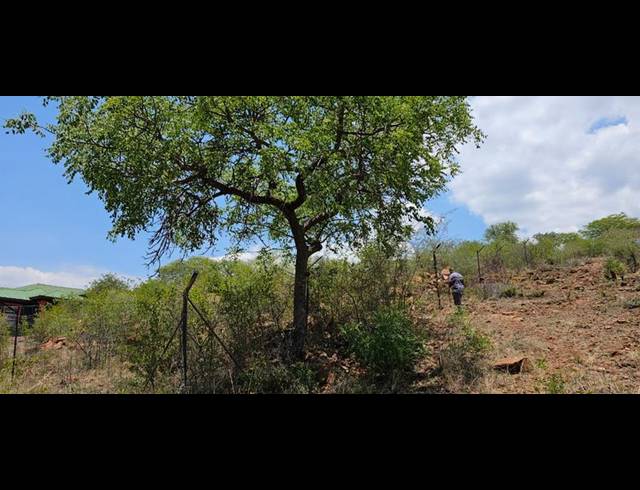 LAND FOR SALE IN TSHIROLWE